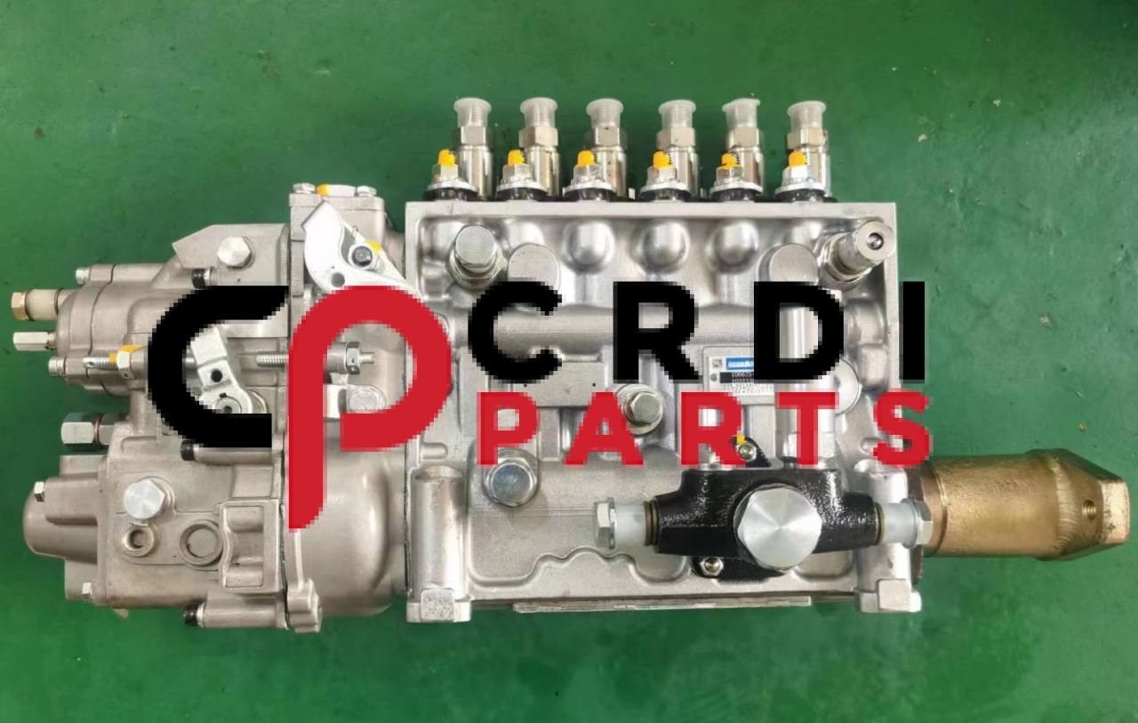 Fuel Injection Pump 106673-417k, 106067-6480 Suitable for Hyundai