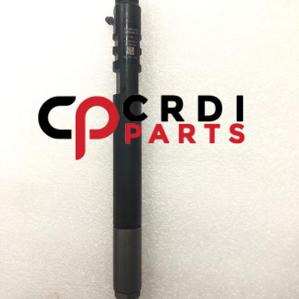common rail injector for Tata Safari 2.2D, EJBR04901D, R04901D, 28280600, 278901160101