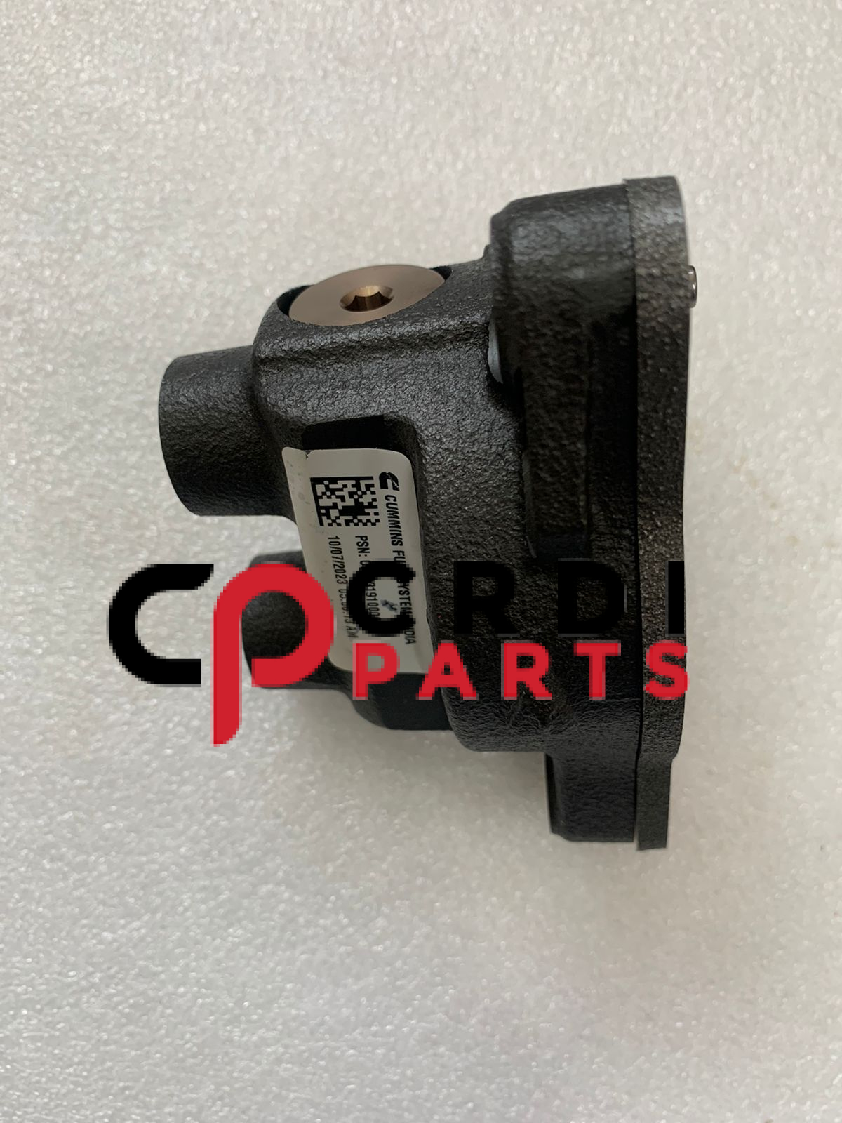 Common Rail Fuel Injection Gear Pump 4359517 Common Rail Fuel Injection Gear Pump 4359517