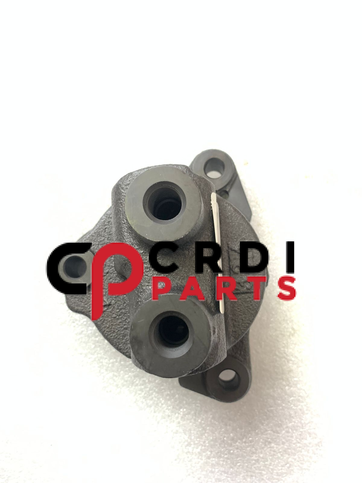 Common Rail Fuel Injection Gear Pump 43595171 Common Rail Fuel Injection Gear Pump 4359517