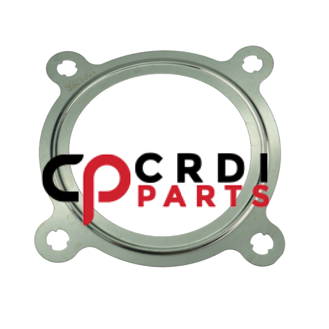 Gasket Exhaust Out Connection 3921961 for Cummins | crdiparts.com