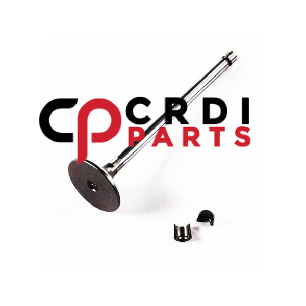 Exhaust Valve Kit 5259419 for Cummins