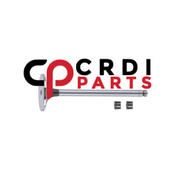 Intake Valve 3802463 for Cummins