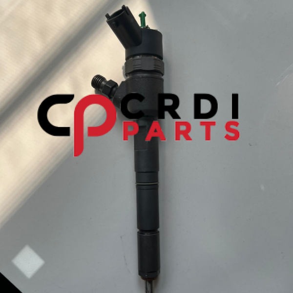 Common Rail Injector 0445110944, 0445110962, 0445110961, 0445110926, 0445110827, 0445110966, 0445110965, For Delphi