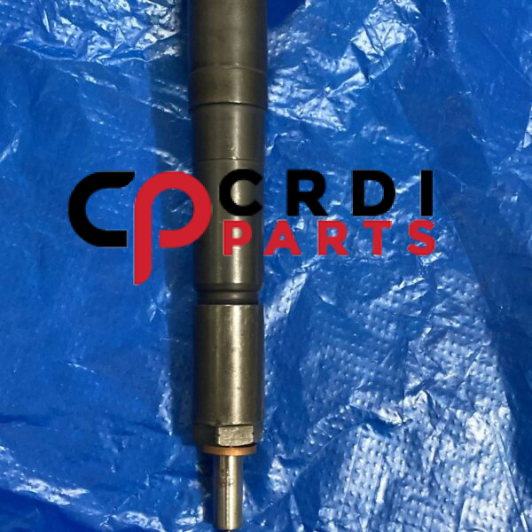 Common Fuel Injector 044511112D, 0305bbh00061n For Mahindra