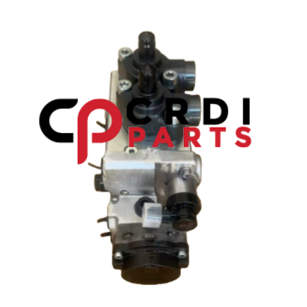 Common Fuel Injcetor Pump 0445020305, 1001094554 For CR/CP4HS2/R75/40 Engine