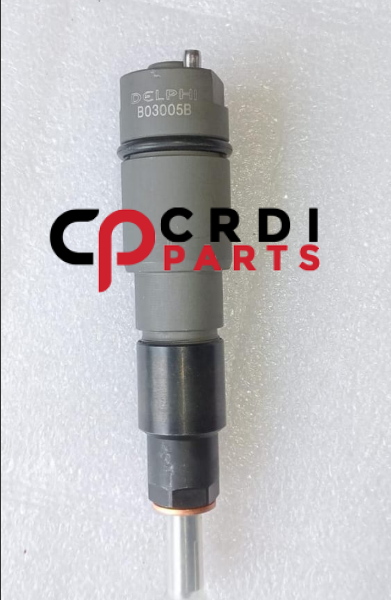 Common Fuel Injector B03005B For Delphi