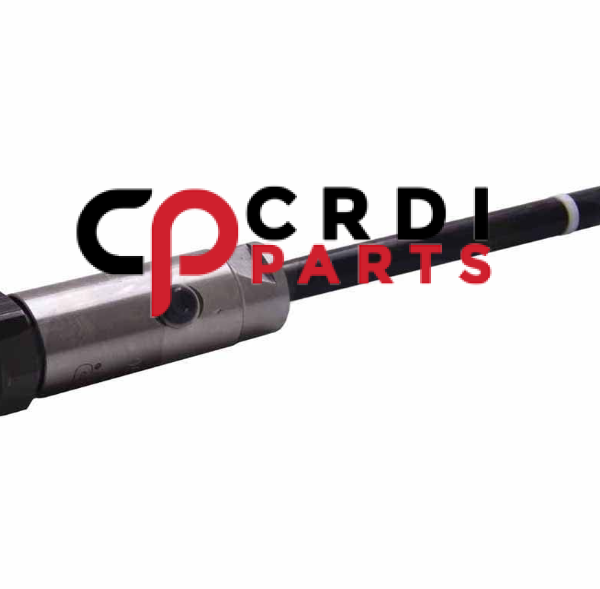 Common Fuel Injection Nozzle 7W7040 For Caterpillar