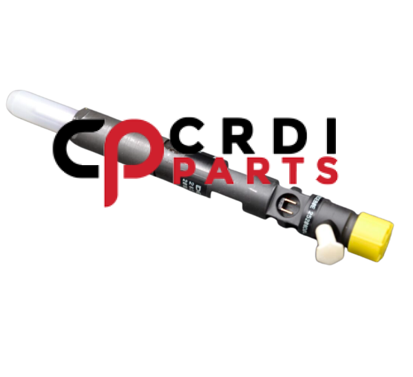 Common Rail Fuel Injector 9001-872A For Delphi