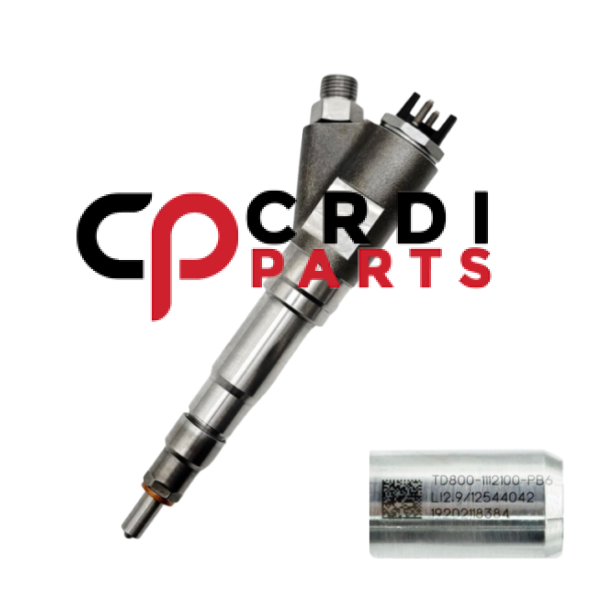 Common Fuel Injector TD800-1112100-PB6 Suitable For Liebherr Marine Engine